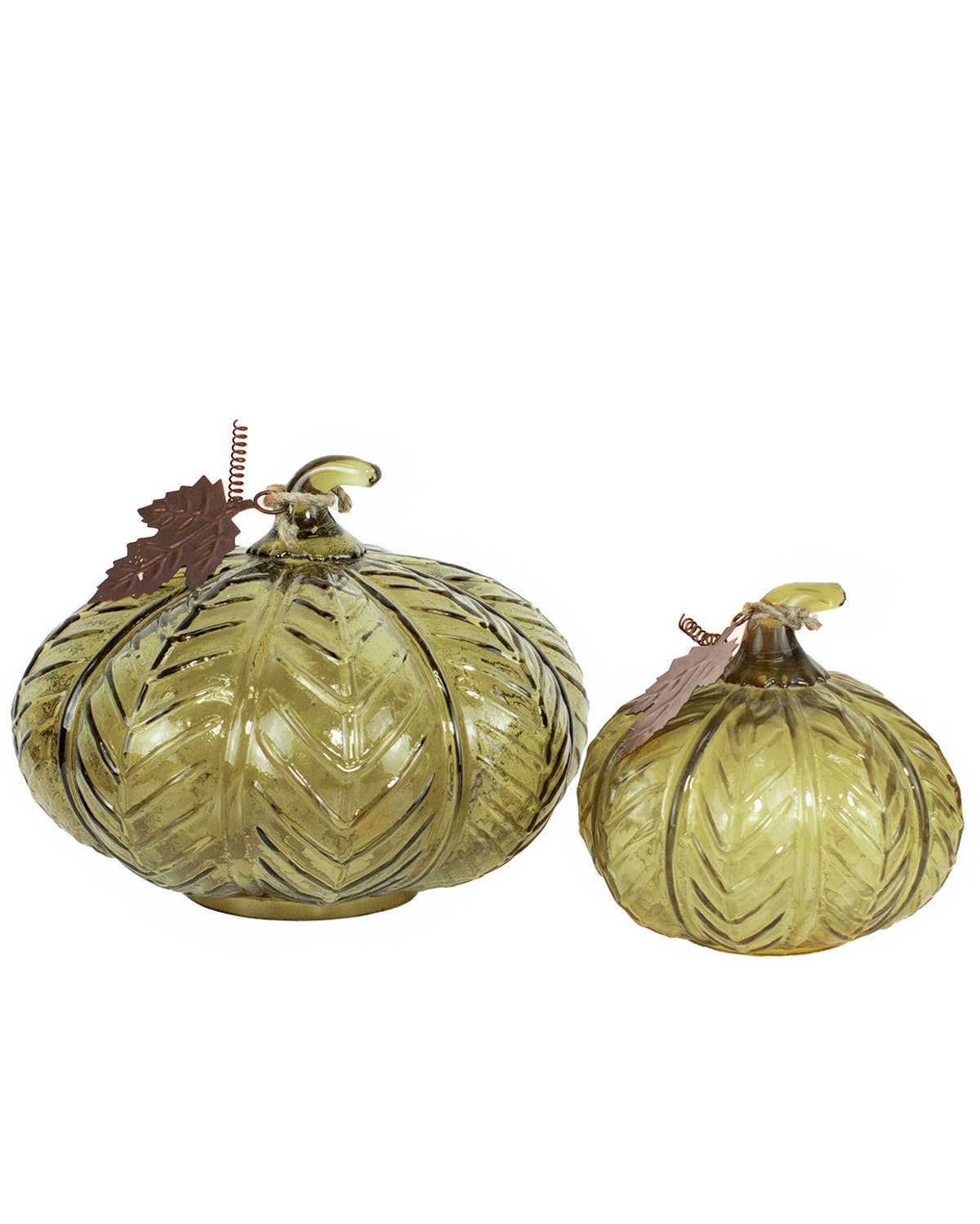 Darby Pumpkin   Green   7x8