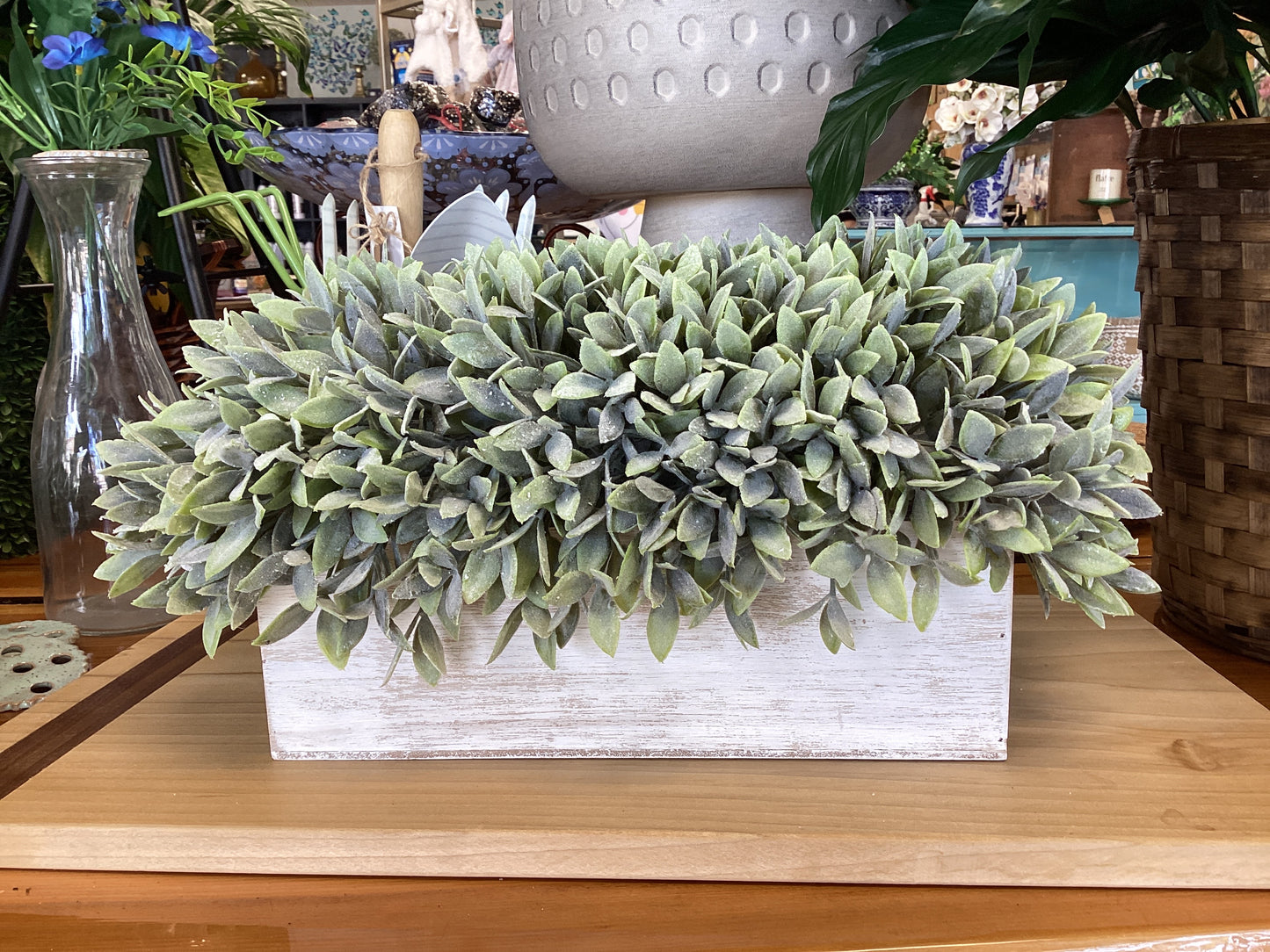 Flocked Sage in Rectangle Planter