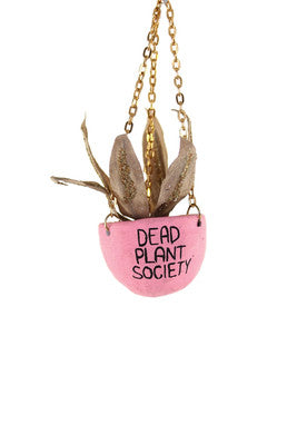 Cody Foster Dead Plant Society
