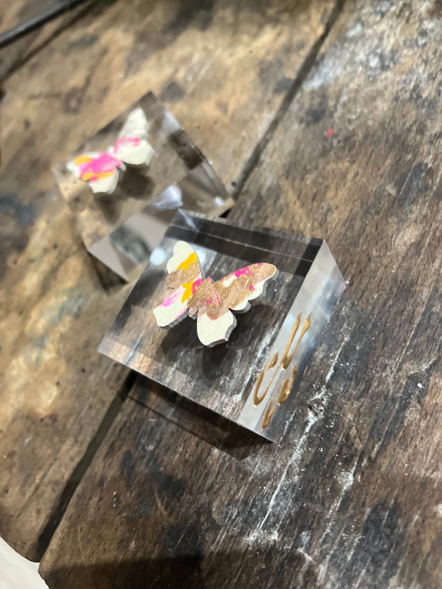 Butterfly Lucite Block