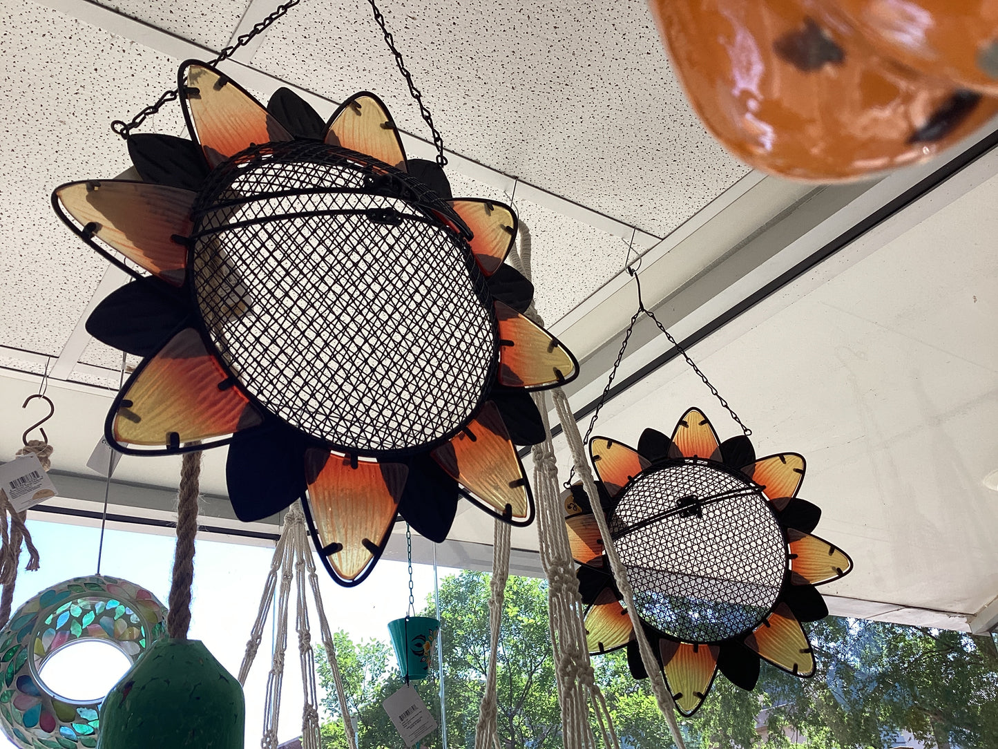 Sunflower Bird Seed Holder
