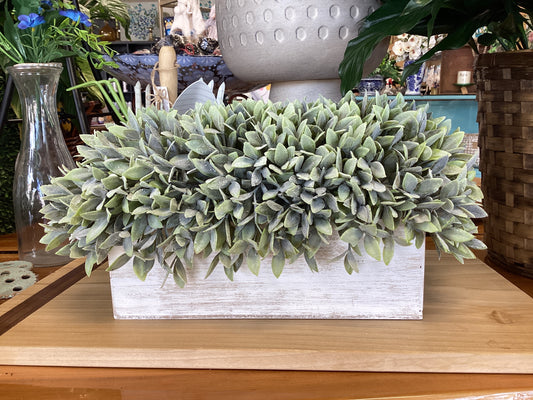 Flocked Sage in Rectangle Planter
