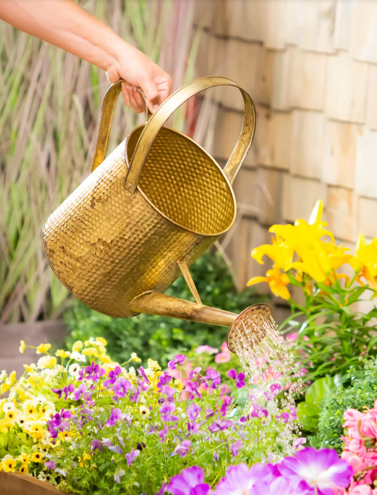 Evergreen Water Can with Gold Artisan Finish