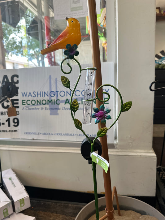 Evergreen Colorful birds Raingage