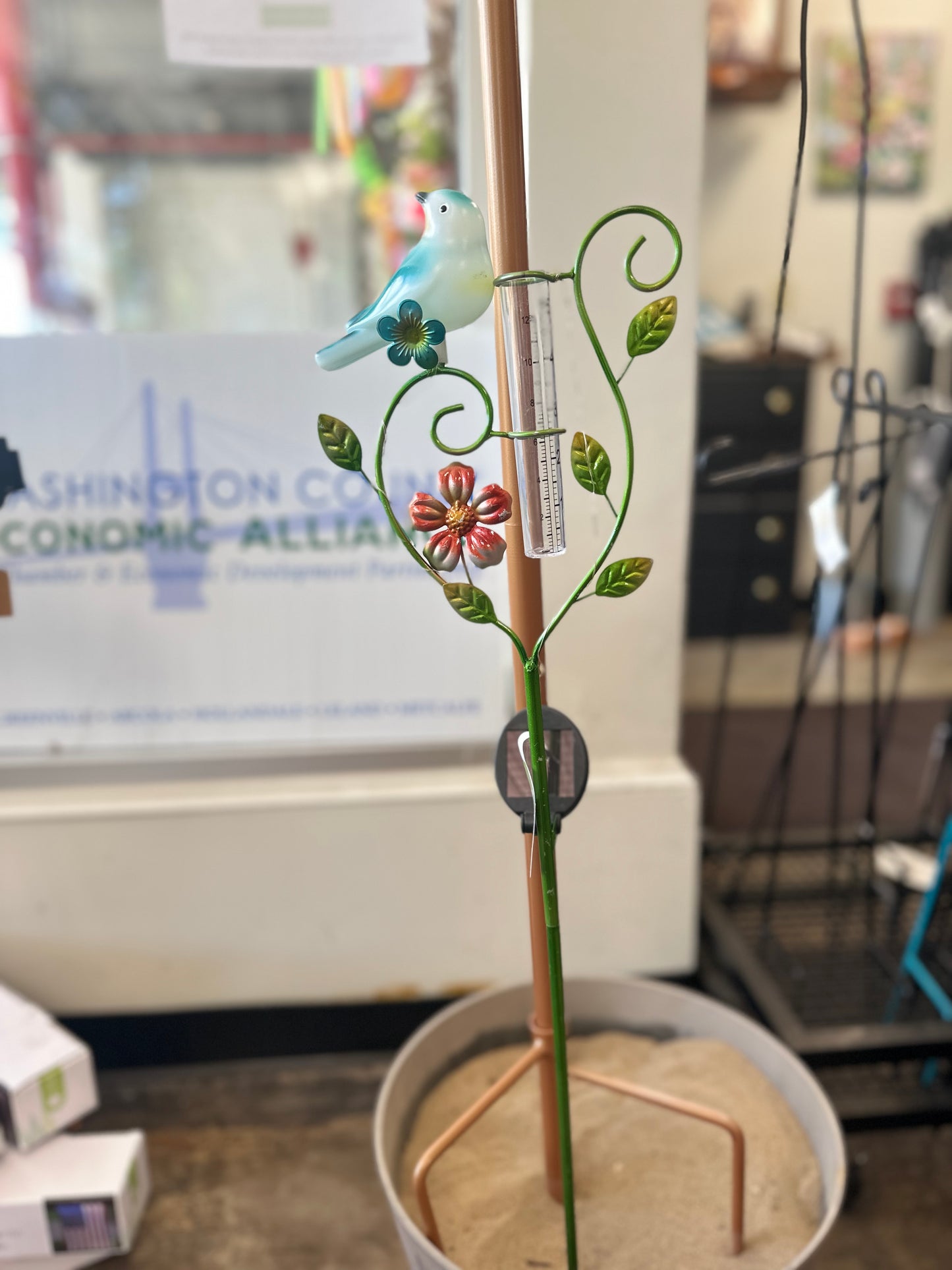 Evergreen Colorful birds Raingage