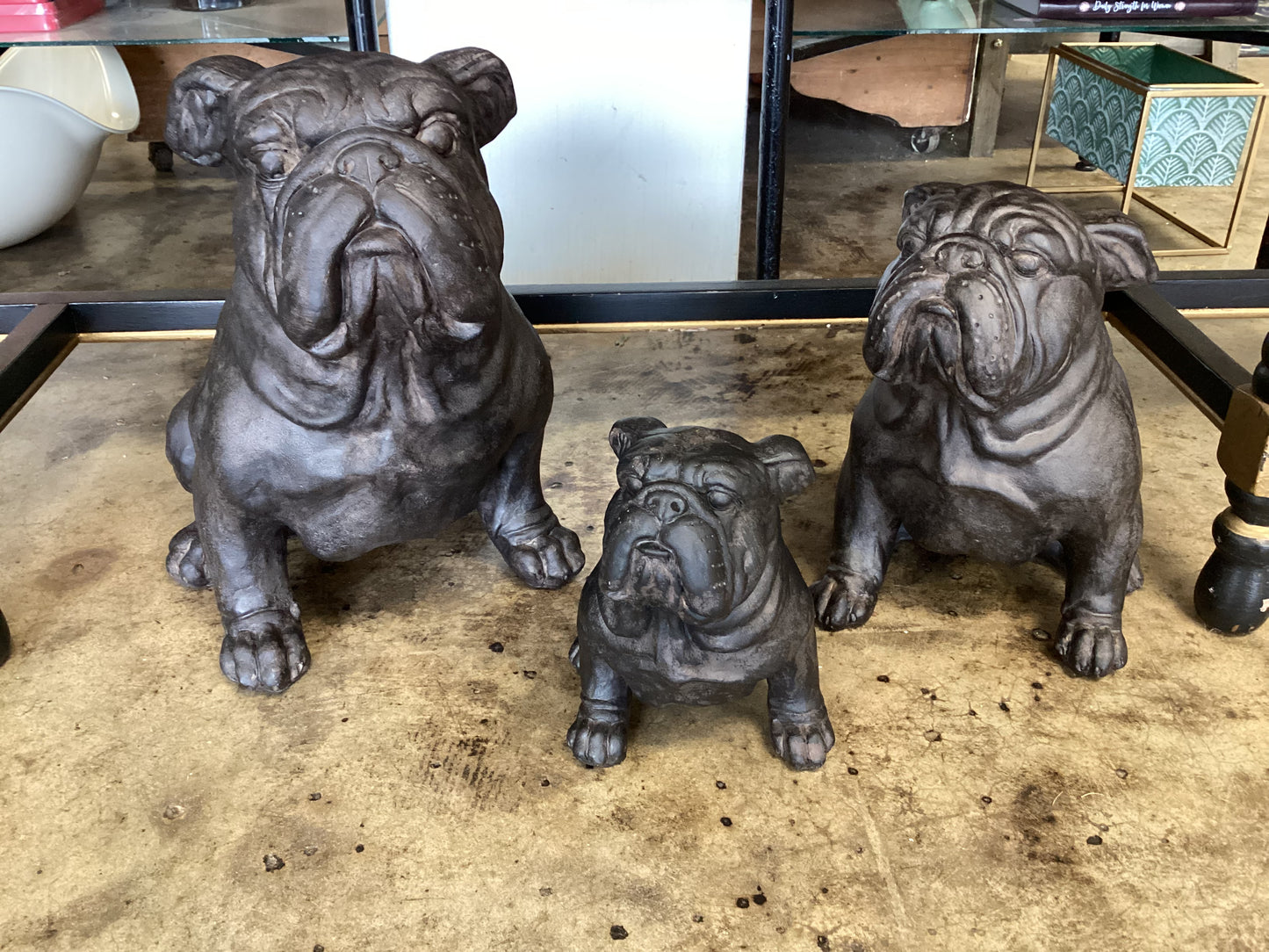 Medium Bulldog Statue