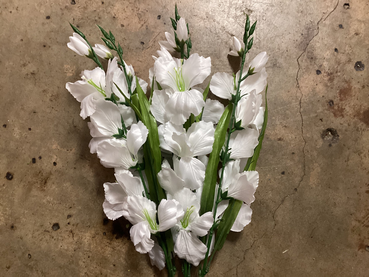 Silk White Gladiolus bush