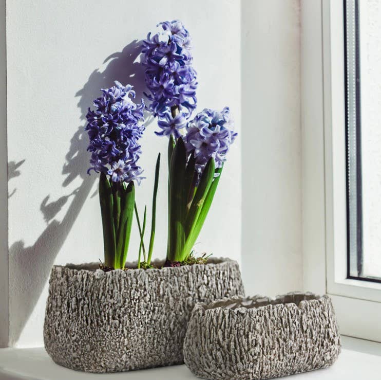 9.5" Long | Ceramic Window Garden Igneous Planter, Sand: 16-3208SD: H = 4" | D = 9.5" x 4" / Ceramic / Sand