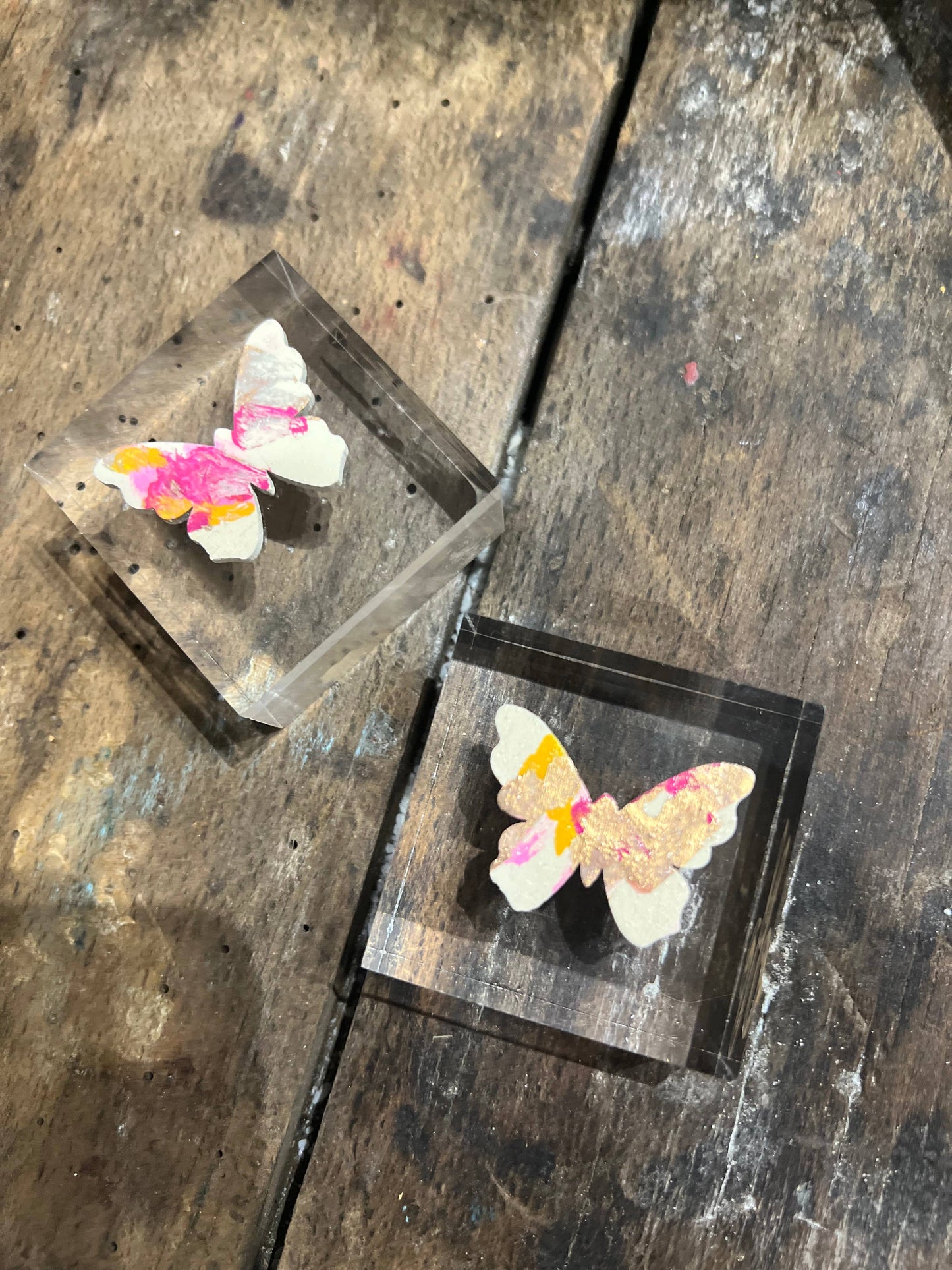 Butterfly Lucite Block