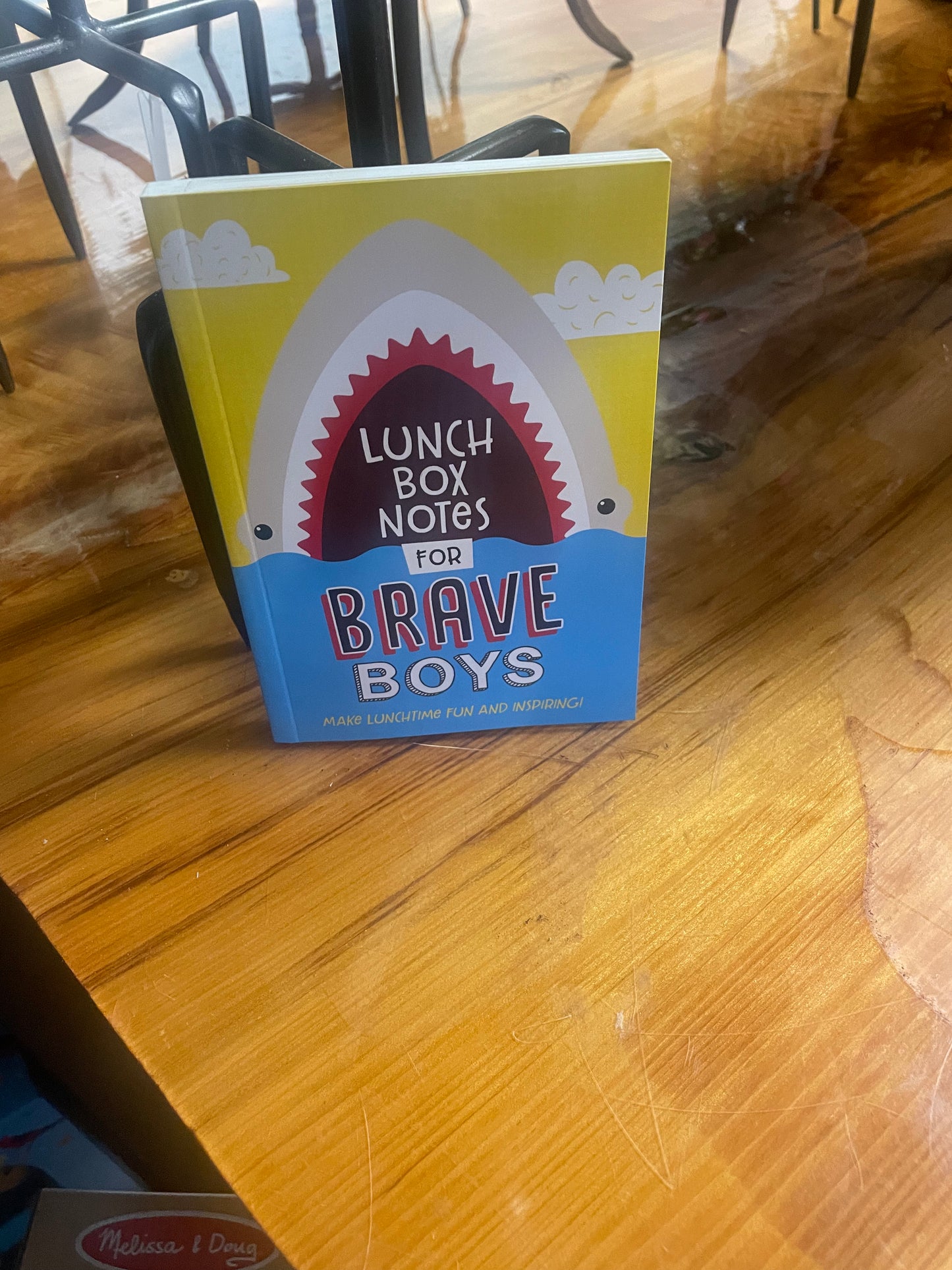 Lunch Box Notes for Brave Boys