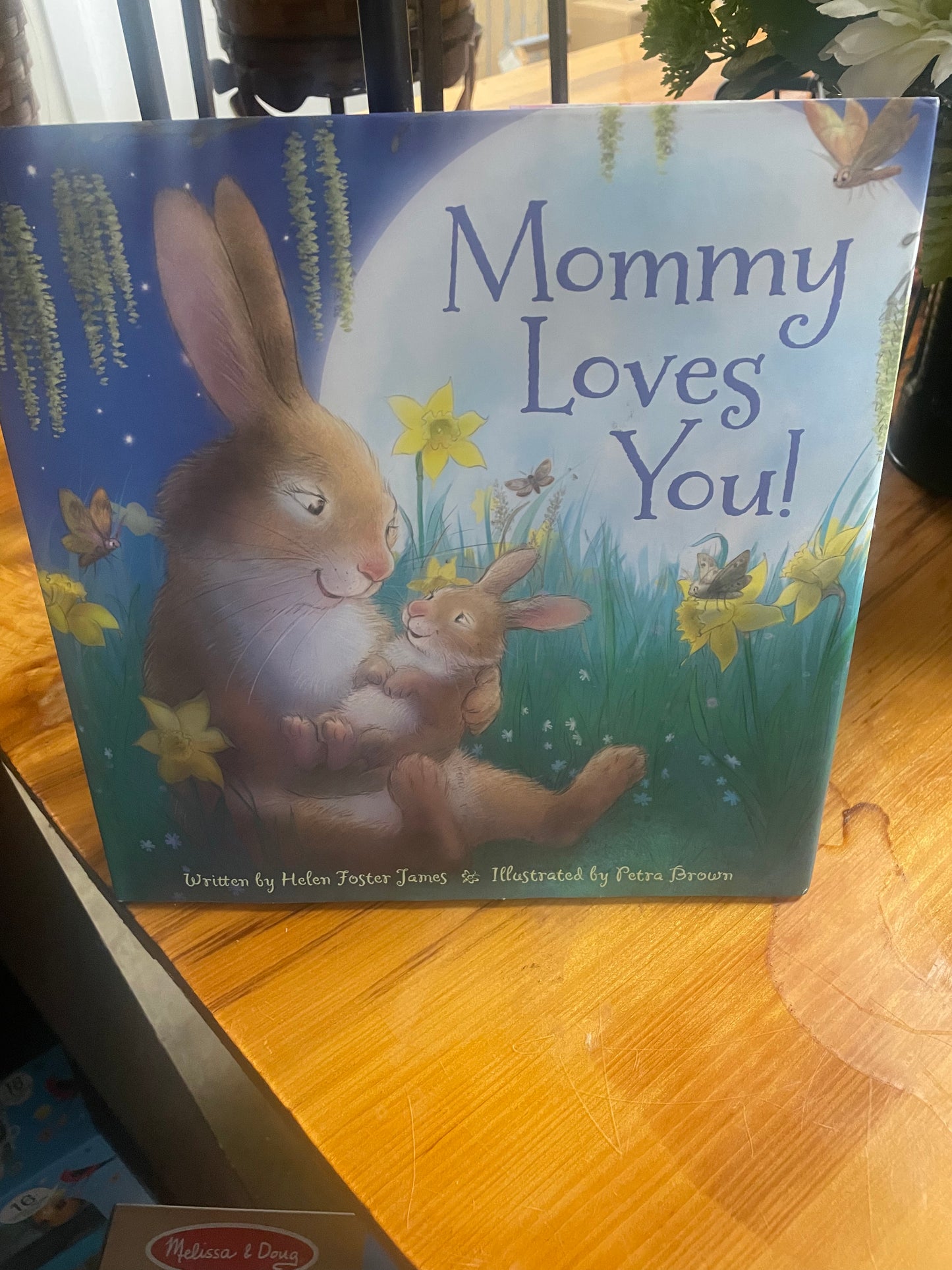 Mommy Loves You Book