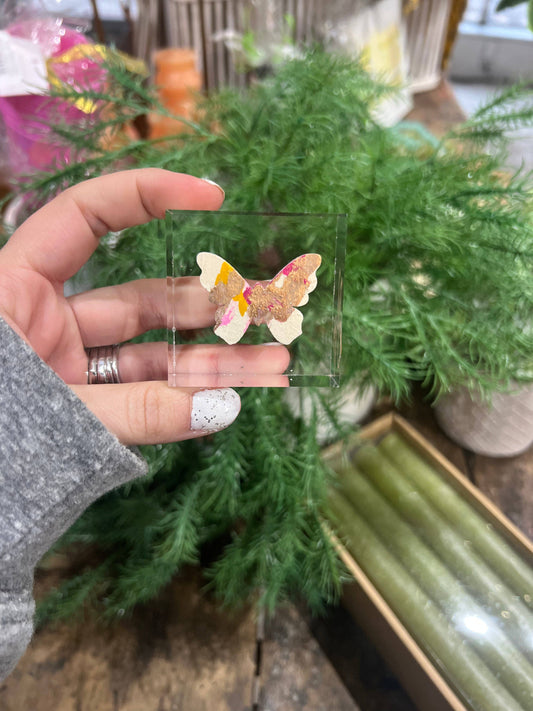 Butterfly Lucite Block