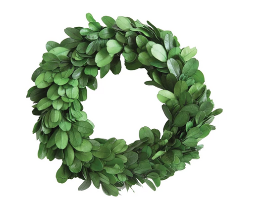 6" Round Preserved Boxwood Wreath